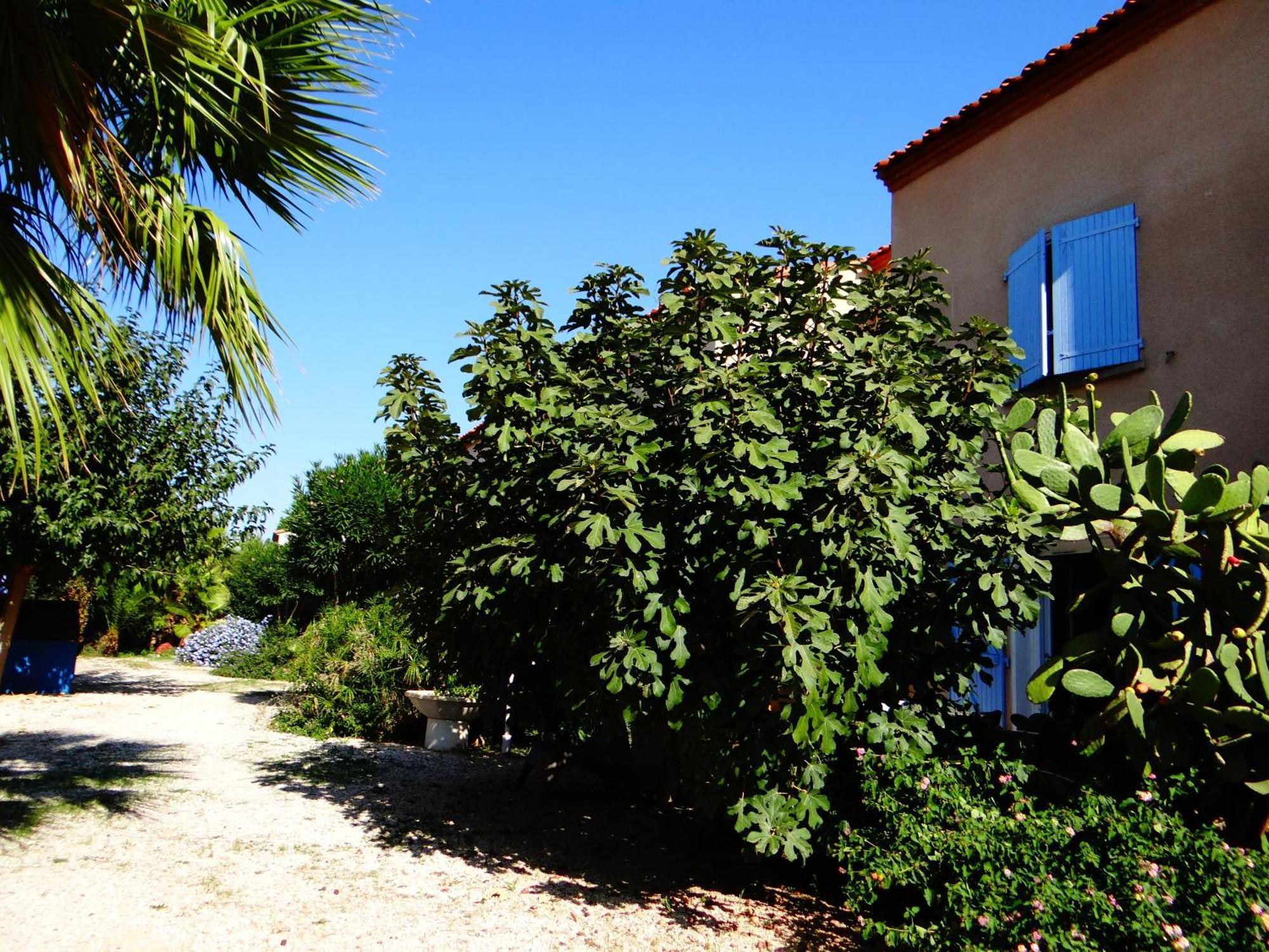 Residence L'Orangeraie-2-Claira 66530 Buitenkant foto